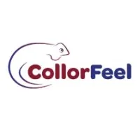 CollorFeel