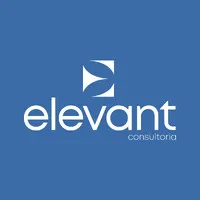 Elevant Consultoria Empresarial