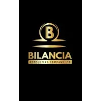 BILANCIA CONSULTANCY COMPANY