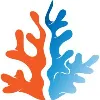 BlueReef Technology BlueReef Technology