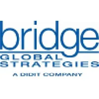 Bridge Global Strategies LLC, a Didit Company