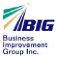 BIG Financial and Advisory Services - Business Improvement Group BIG Financial and Advisory Services - Business Improvement Group