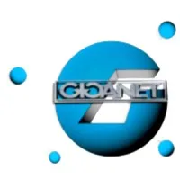 GIGANET SERVICES