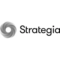 STRATEGIA INDIA 
