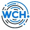 Wentworth Computer Holdings Wentworth Computer Holdings