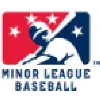 National Association of Professional Baseball Leagues National Association of Professional Baseball Leagues