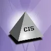 Corporate Information Systems Corporate Information Systems
