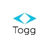 Togg Togg