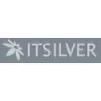 ITsilver