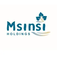 Msinsi Holdings SOC 