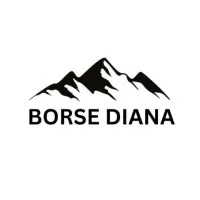 BORSE DIANA