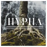HYPHA Ltd email format