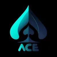 ACE - Association of Computer Engineers