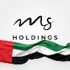 MS Holdings MS Holdings