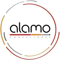 Alamo Consultores