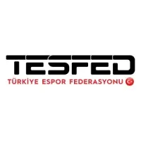 Turkish E-Sports Federation