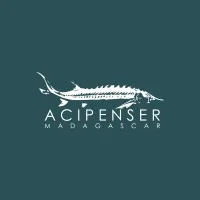 Acipenser Madagascar
