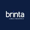 Brinta Consulting Services