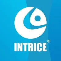 INTRICE LLC