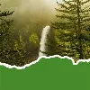 Friends of the Columbia Gorge Friends of the Columbia Gorge