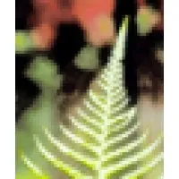 Greensleeves Inc