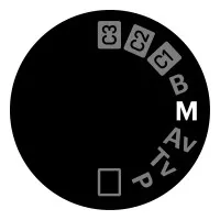 Manual