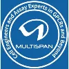 Multispan, Inc.