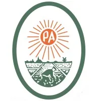 P. Aker P. Aker