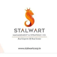 Stalwart Management & Strategic Co.