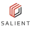 Salient Systems Salient Systems