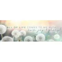 AccessConsciousness