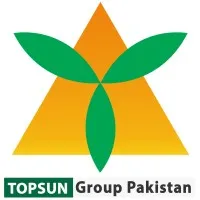 Topsun Group