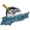 Bridgeport Bluefish