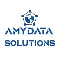 AmyData Solutions Inc