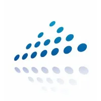 Apex IT Services, Inc.