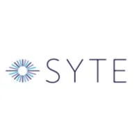 Syte Consulting Group, Inc.