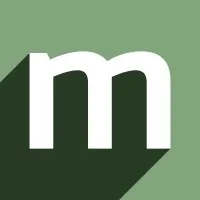 Merit Consulting Merit Consulting