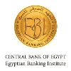 Egyptian Banking Institute Egyptian Banking Institute
