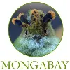Mongabay.org Mongabay.org