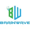 BrainWave Professionals BrainWave Professionals