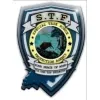 Special Task Force Protection Agency Special Task Force Protection Agency