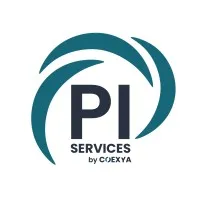 PI Services