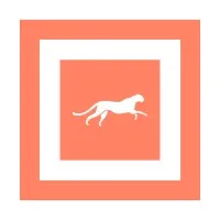 The Real Estate Lawyer