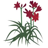 Plants By Design Inc