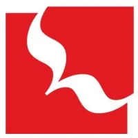 Flying Arts Alliance Inc Flying Arts Alliance Inc