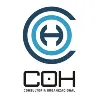 CONSULTORIA ORGANIZACIONAL COH CONSULTORIA ORGANIZACIONAL COH