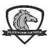 Silver Horse Ventures Silver Horse Ventures