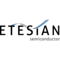 ETESIAN Semiconductor Ltd