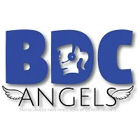 BDC Angels LLC