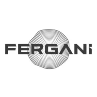 Fergani Space